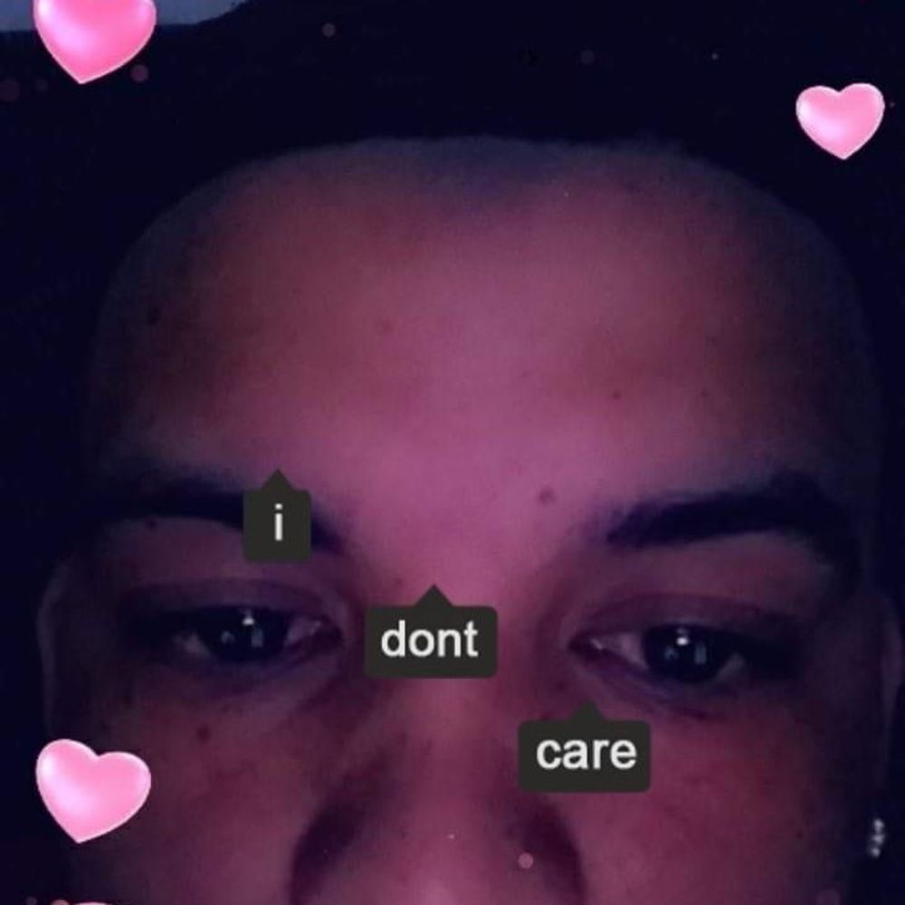 Meet your Posher, Dante